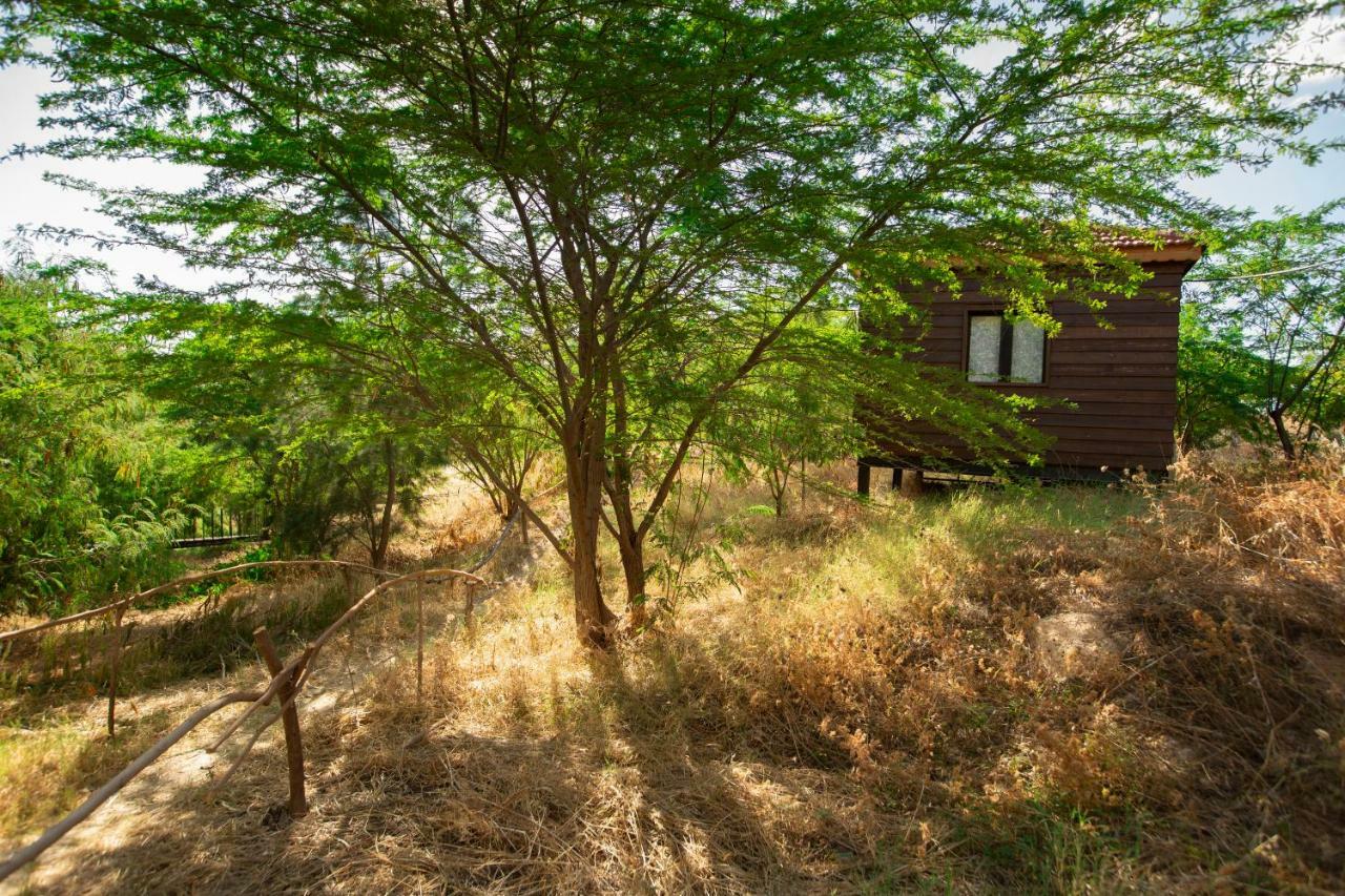 Sharhabil Bin Hasnah Ecopark Hotel Qulay'at Exterior photo