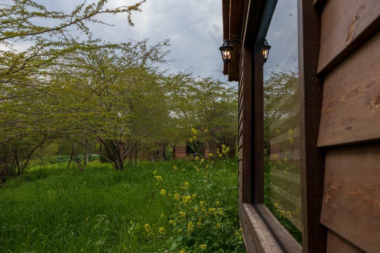 Sharhabil Bin Hasnah Ecopark Hotel Qulay'at Exterior photo